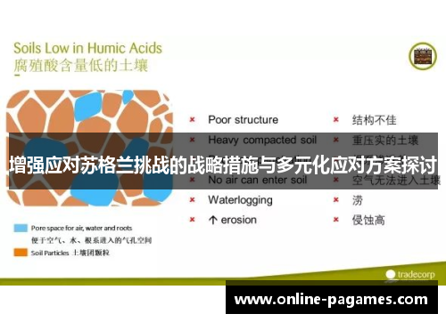 增强应对苏格兰挑战的战略措施与多元化应对方案探讨 增强应对苏格兰挑战的战略措施与多元化应对方案探讨
