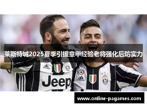 莱斯特城2025夏季引援意甲经验老将强化后防实力