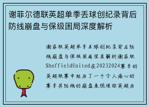 谢菲尔德联英超单季丢球创纪录背后防线崩盘与保级困局深度解析